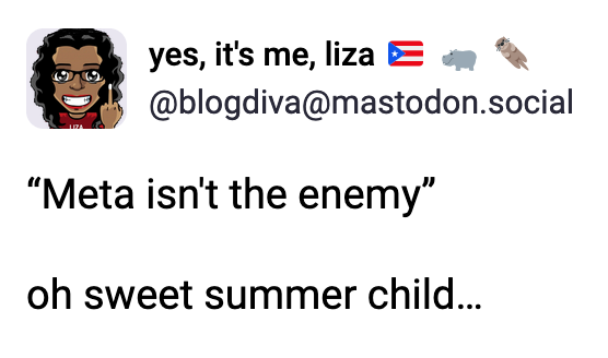 a post by yes, it's me, liza (@blogdiva@mastodons.social): “Meta isn't the enemy” oh sweet summer child…