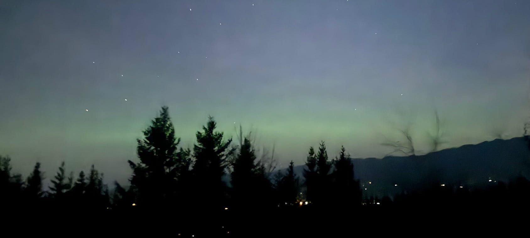 green aurora, low in the sky. above, a night sky with a few stars visible. below, trees, and a few lights in the background